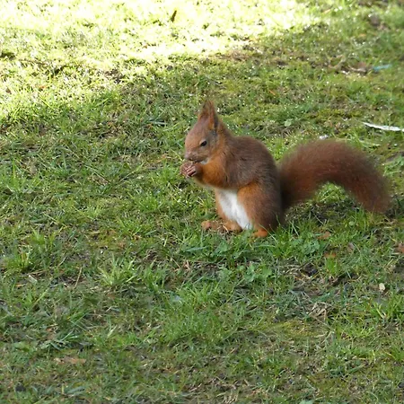 La Du Parc Oda ve Kahvaltı