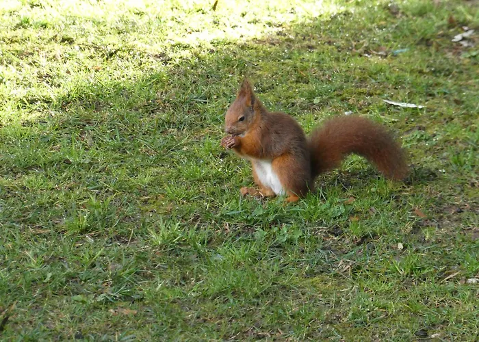 La Du Parc Oda ve Kahvaltı